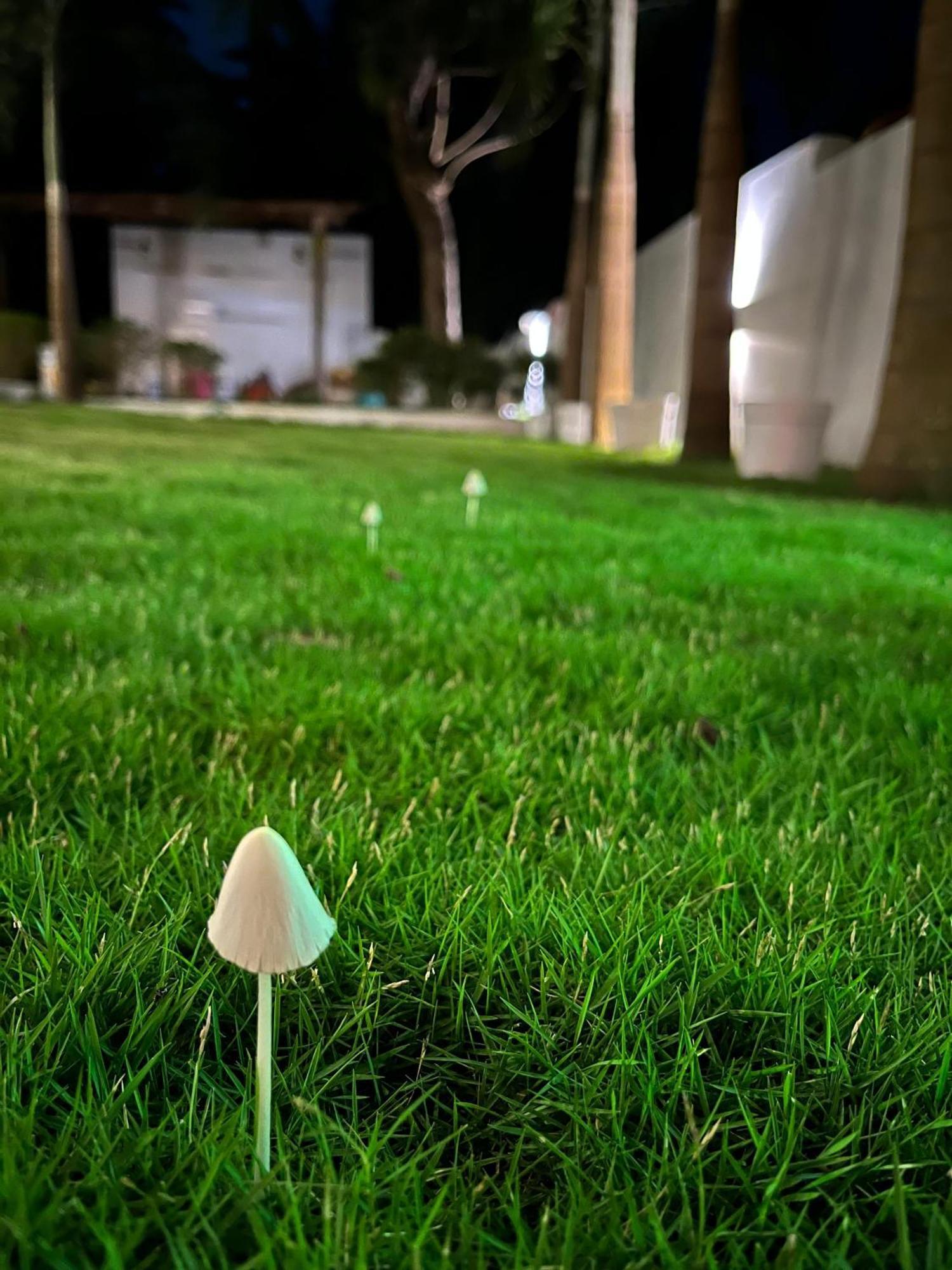 14 Magic Pods Otel Morjim Dış mekan fotoğraf